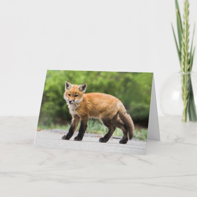 Tarjeta Animales de bebé más afectados | Cutey Fox (Anverso)