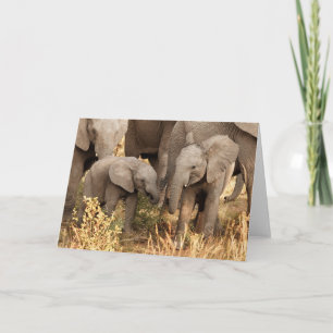 Tarjeta Animales de bebé más afectados   Dos jóvenes elefa
