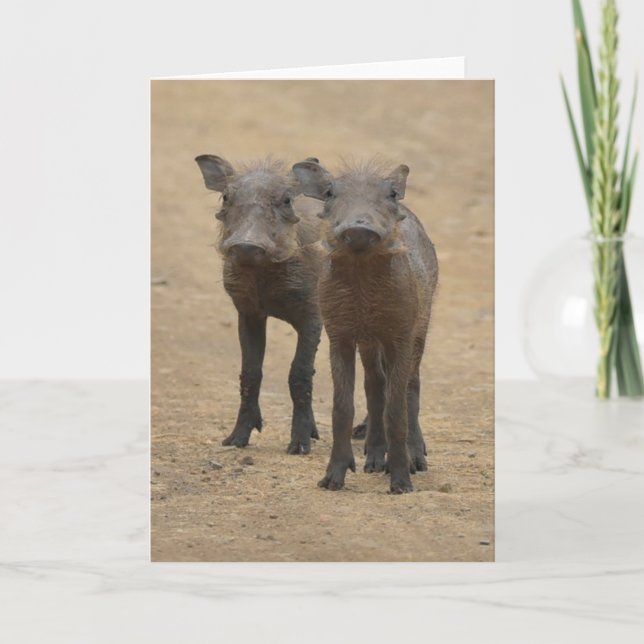 Tarjeta Animales de bebé más afectados | Dos jóvenes warth (Anverso)
