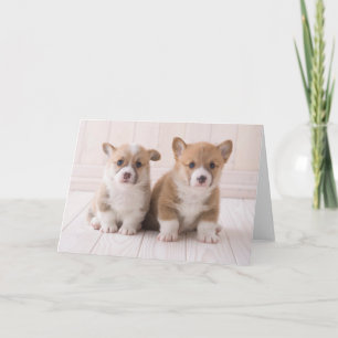 Tarjeta Animales de bebé más afectados Dos sesiones de B