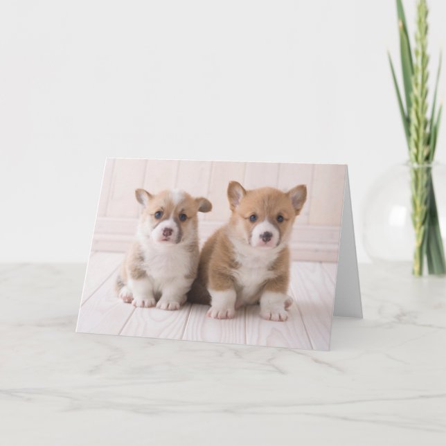 Tarjeta Animales de bebé más afectados | Dos sesiones de B (Anverso)