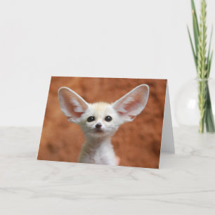 Tarjeta Animales de bebé más afectados   Fennec Fox Pup