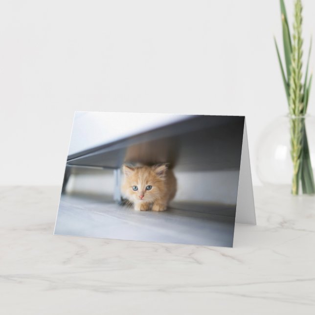 Tarjeta Animales de bebé más afectados | Fluffy Naranja Ki (Anverso)