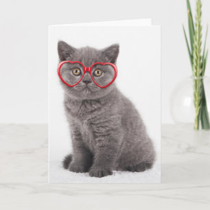 Tarjeta Animales de bebé más afectados Gafas de corazón