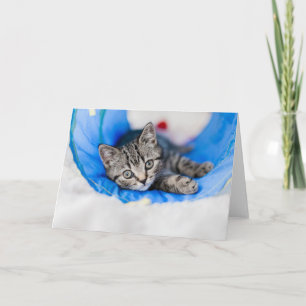 Tarjeta Animales de bebé más afectados   Gatito de Tabby e