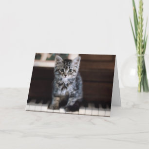 Tarjeta Animales de bebé más afectados   Gatito en llaves 