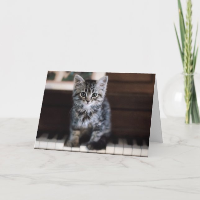 Tarjeta Animales de bebé más afectados | Gatito en llaves  (Anverso)