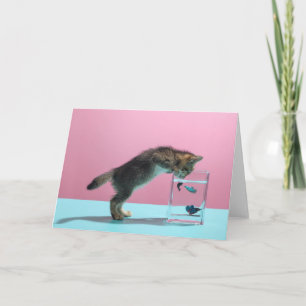 Tarjeta Animales de bebé más afectados   Gatito mirando al