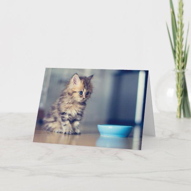 Tarjeta Animales de bebé más afectados | Gatito persa de o (Anverso)