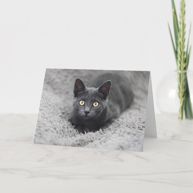 Tarjeta Animales de bebé más afectados | Gato gris (Anverso)