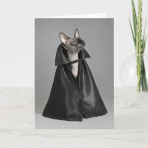 Tarjeta Animales de bebé más afectados   Gato sin pelo Sph