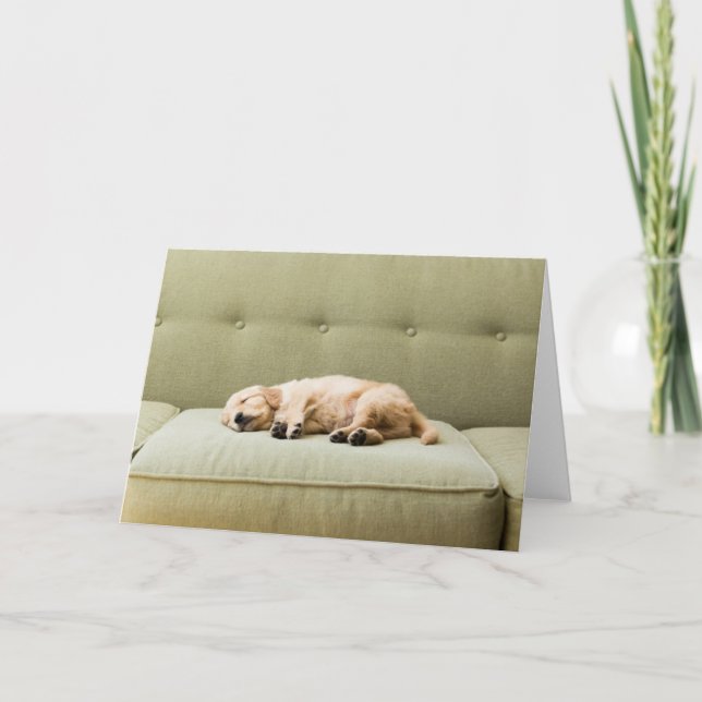 Tarjeta Animales de bebé más afectados | Golden Retriever  (Anverso)