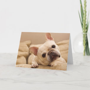 Tarjeta Animales de bebé más afectados Inclinación de la