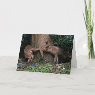 Tarjeta Animales de bebé más afectados   Juego de zorros p