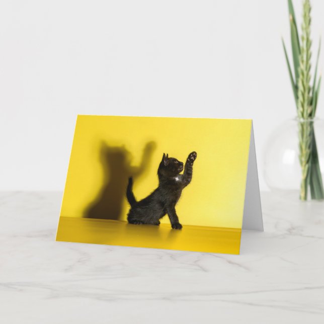 Tarjeta Animales de bebé más afectados | Jugar al gato neg (Anverso)