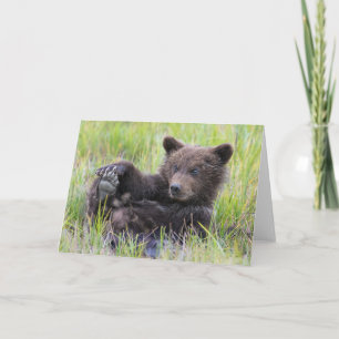 Tarjeta Animales de bebé más afectados Jugar con el cubo