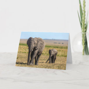 Tarjeta Animales de bebé más afectados   Madre e hijo elef