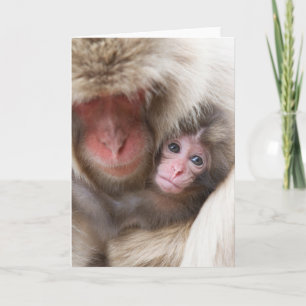 Tarjeta Animales de bebé más afectados   Mono de nieve