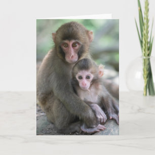 Tarjeta Animales de bebé más afectados Monos japoneses