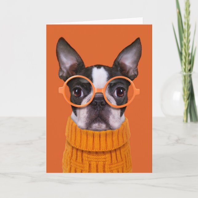 Tarjeta Animales de bebé más afectados | Naranja Boston Te (Anverso)