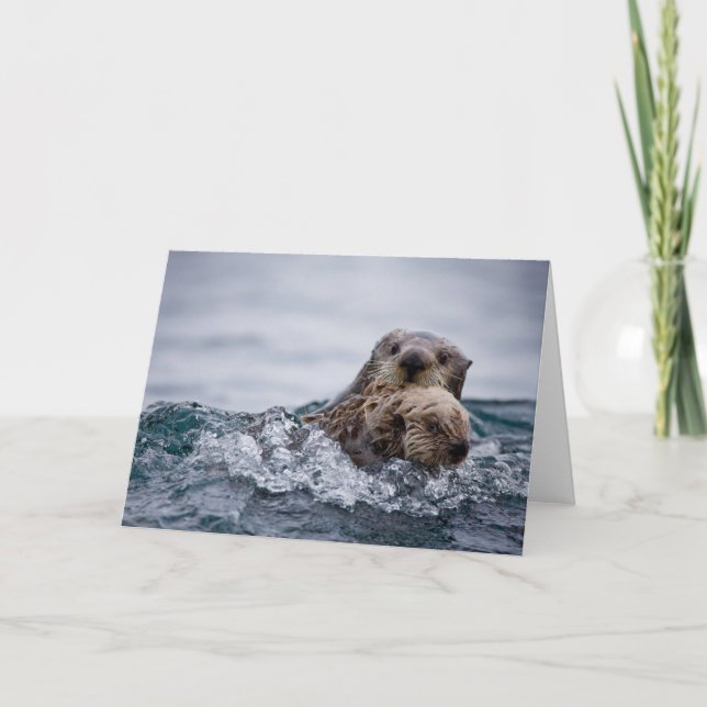 Tarjeta Animales de bebé más afectados | Otter Baby & Moth (Anverso)