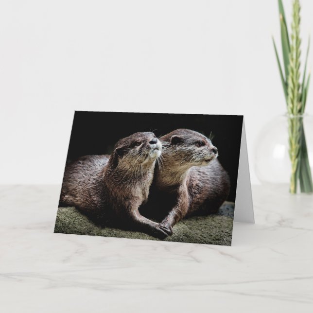 Tarjeta Animales de bebé más afectados | Otters Manteniend (Anverso)
