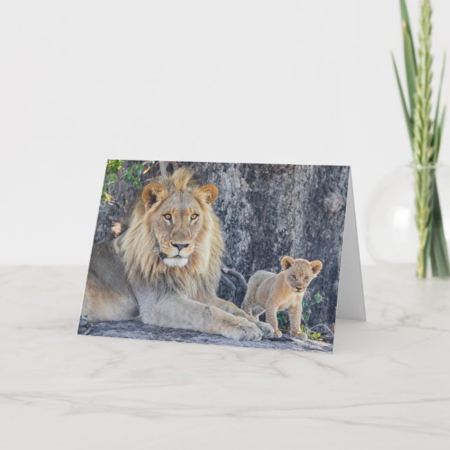 Tarjeta Animales de bebé más afectados | Papá León y Cub (Anverso)