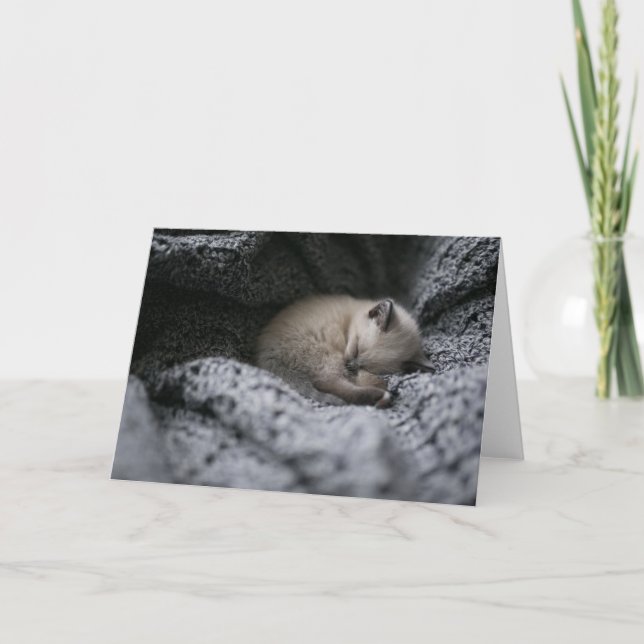 Tarjeta Animales de bebé más afectados | Pequeño Gatito Do (Anverso)