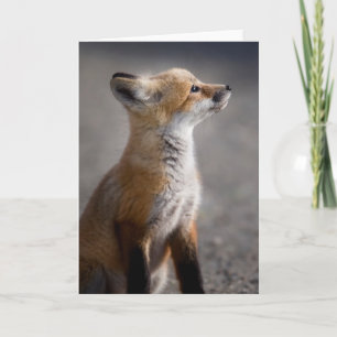 Tarjeta Animales de bebé más afectados Retrato de Baby F