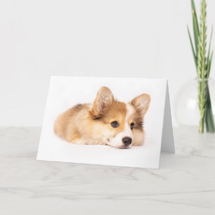 Tarjeta Animales de bebé más afectados Retrato de cachor
