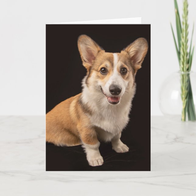 Tarjeta Animales de bebé más afectados | Retrato de Corgi  (Anverso)