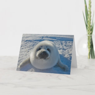 Tarjeta Animales de bebé más afectados   Sello de bebé