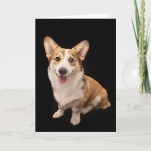 Tarjeta Animales de bebé más afectados Sonrisa de cachor