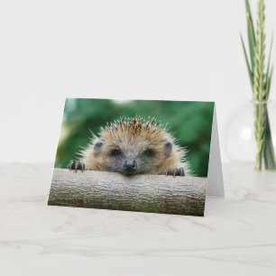 Tarjeta Animales de bebé más afectados   Sonrisa de edgeho