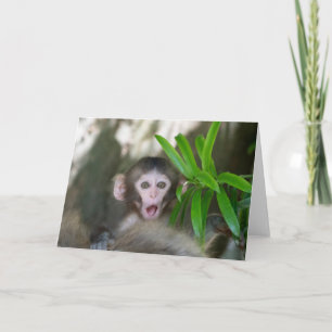Tarjeta Animales de bebé más afectados Sorprendido mono