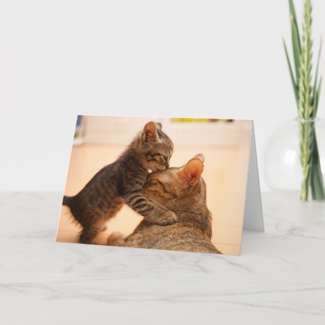 Tarjeta Animales de bebé más afectados | Tabby Kitten Kiss (Anverso)