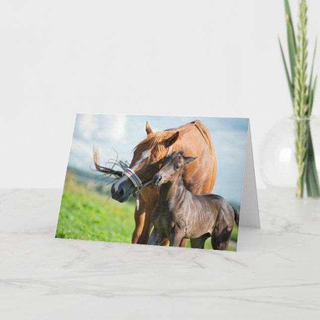 Tarjeta Animales de bebé más afectados | Ternera negra con (Anverso)