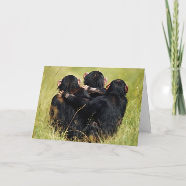 Tarjeta Animales de bebé más afectados | Tres chimpancés a (Anverso)