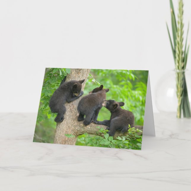 Tarjeta Animales de bebé más afectados | Tres jóvenes osez (Anverso)