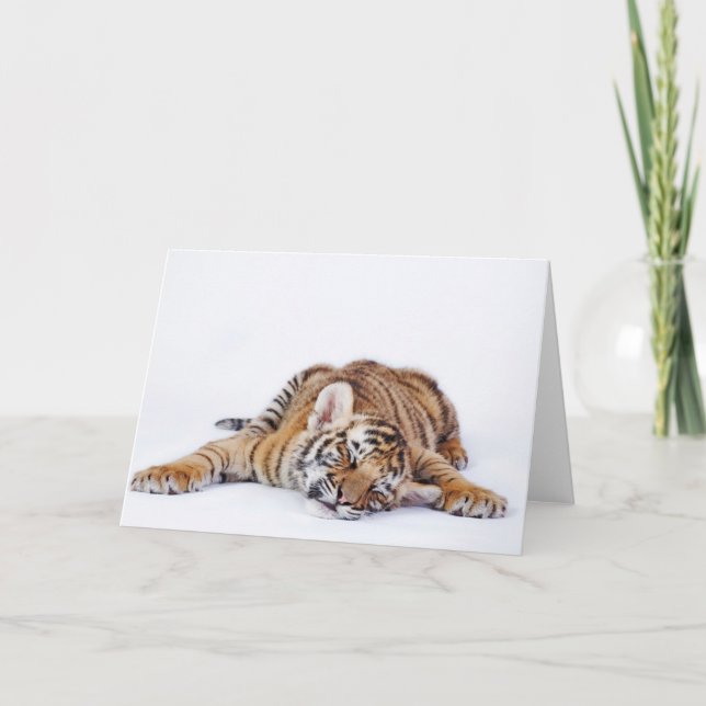 Tarjeta Animales de bebé más afectados | Tubería de tigre  (Anverso)