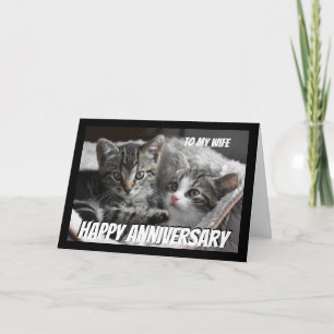 Tarjeta Animales de gato de aniversario de corazón a espos