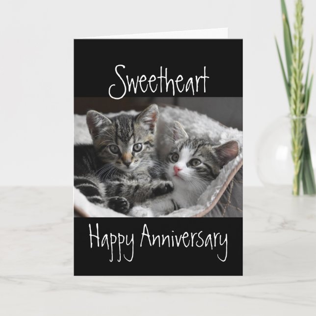 Tarjeta Animales del aniversario del corazón (Anverso)