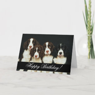 Tarjeta Animales domesticados 252 Feliz cumpleaños