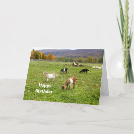 Tarjeta Animales Goats Pasture Vermont Photo Birthday
