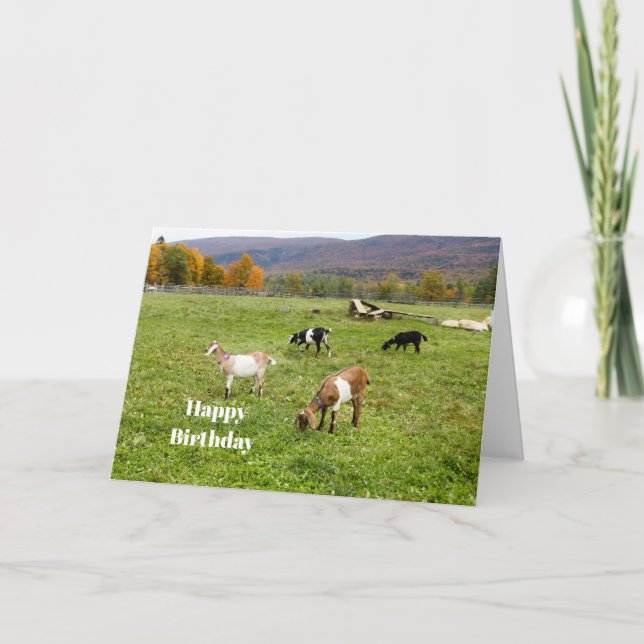 Tarjeta Animales Goats Pasture Vermont Photo Birthday (Anverso)