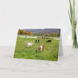 Tarjeta Animales Goats Pasture Vermont Photo Sympathy