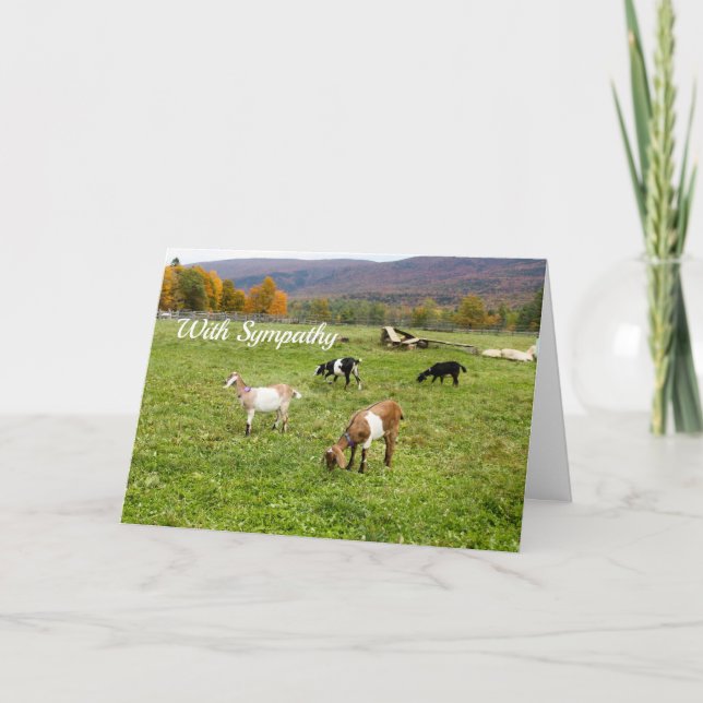 Tarjeta Animales Goats Pasture Vermont Photo Sympathy (Anverso)