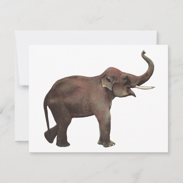 Tarjeta Animales salvajes de época, elefantes asiáticos de (Anverso)