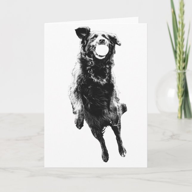 Tarjeta Animar en movimiento suave (Anverso)