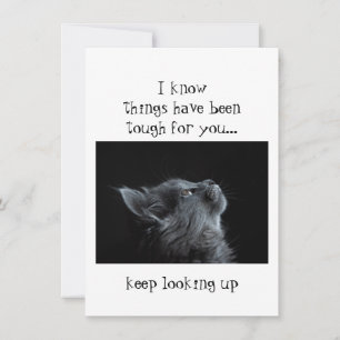 Tarjeta Ánimo para Seguir Mirando a Dios Gato animal